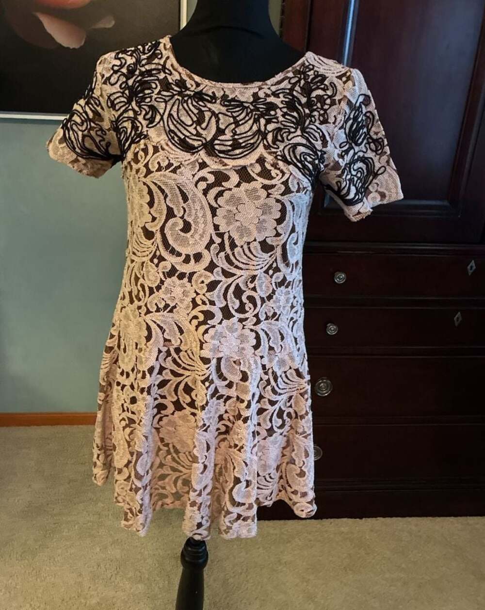 Free People Beautiful Dreamer Blush Pink Lace Mini Swing Dress Sz XS A735